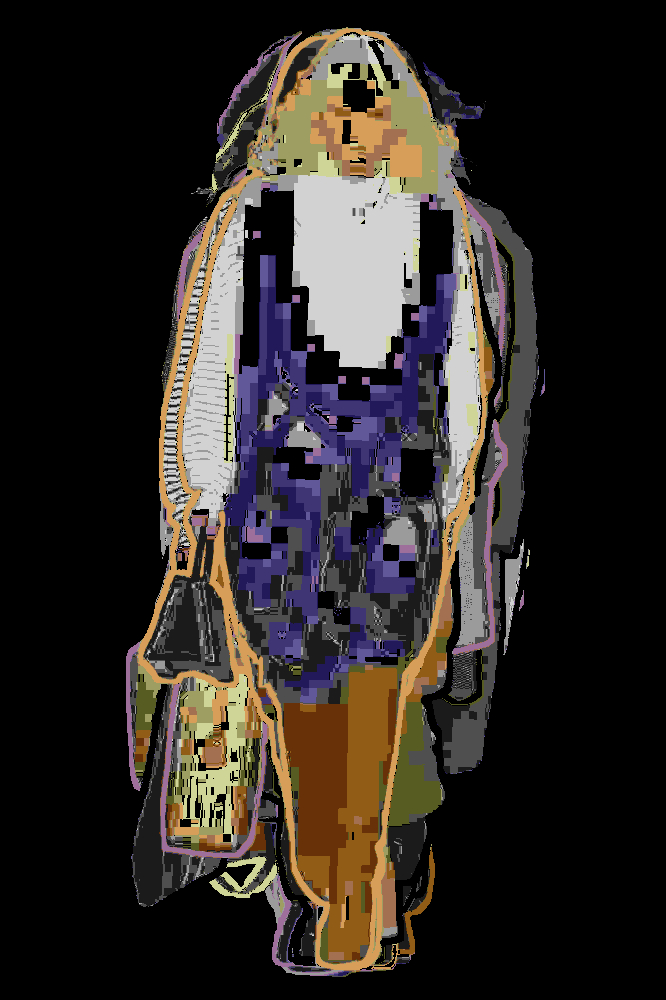 Fashion Visualization