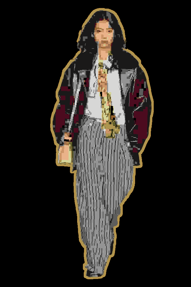 Fashion Visualization